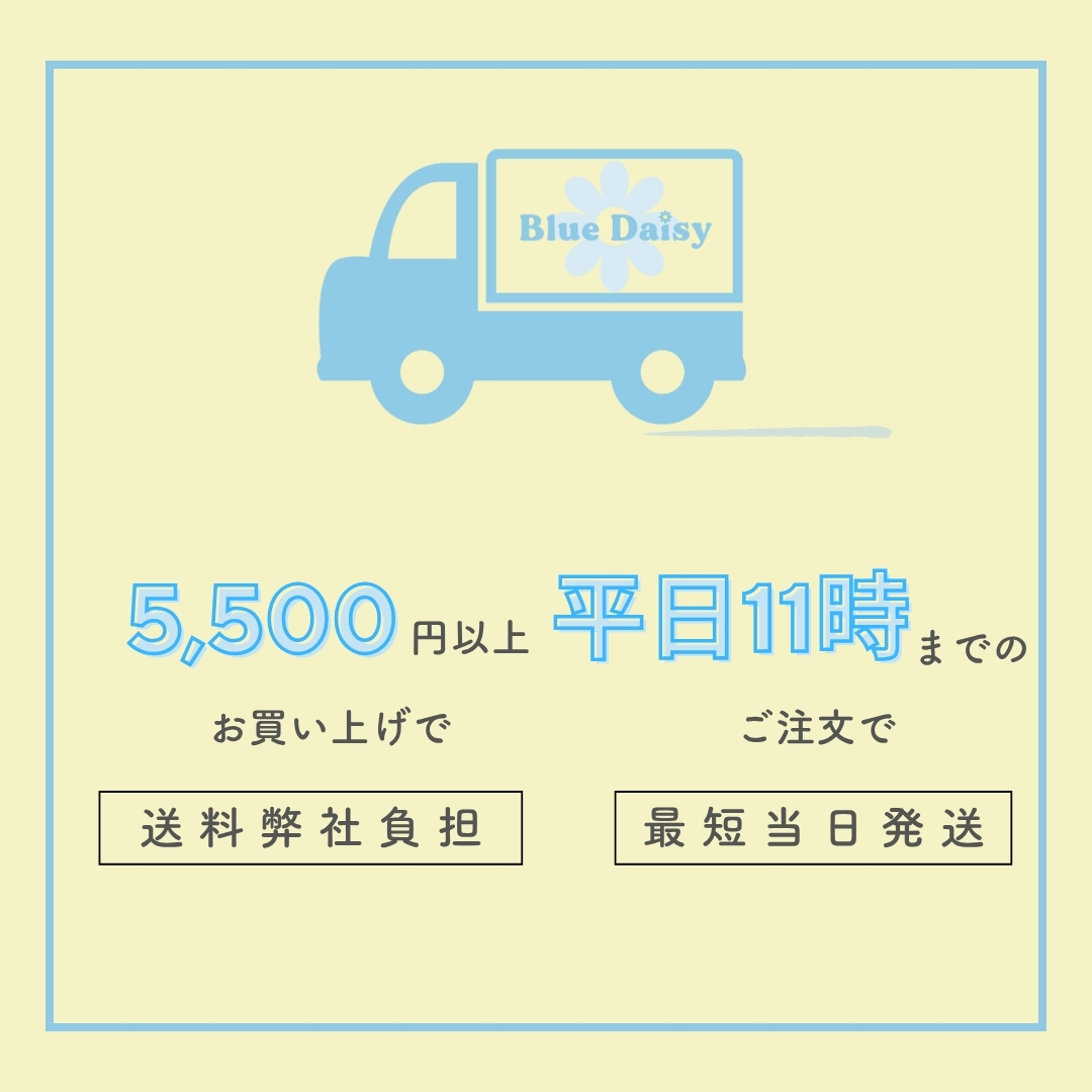 最短当日出荷＆￥5,500以上お買い上げで送料弊社負担